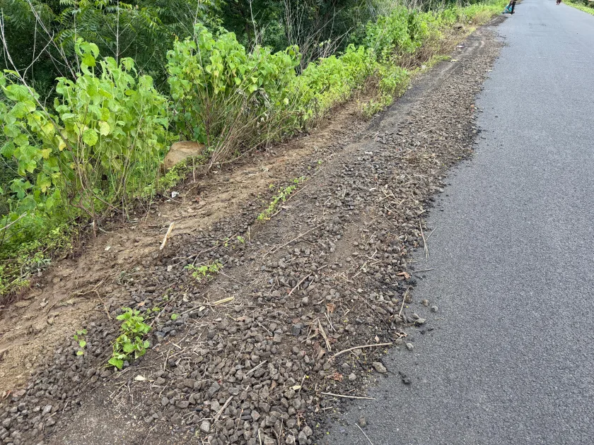 झाडी काढताना रस्त्याचीच लावली वाट...! कहाळा-बरबडा रस्ता देखभालीत निष्काळजीपणा...